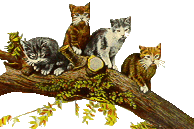 Free forum : 9: A Feline RPG - Portal Kitsintree