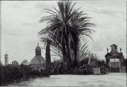Palm Trees with a Domed Church