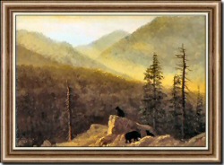 Bears in the Wilderness