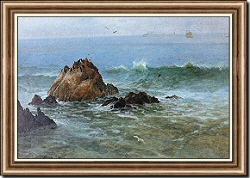 Seal Rocks off Pacific Coast