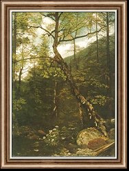 Woodland Interior, Catskills