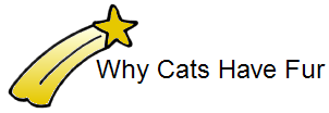 Why Cats Have Fur