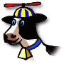 Cow wearing beanie