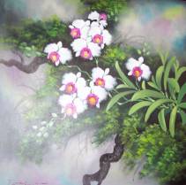 Orchids