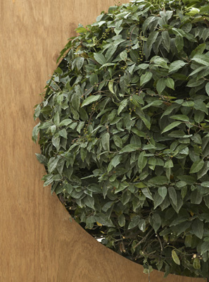 Herbally Fresh - Herb Articles