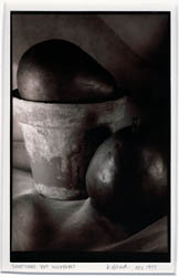 Sumptuous but Imperfect