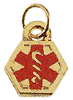 Doc Tock Ion gold plate stainless steel medical symbol charm. Copyright milnejewelry.com