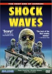 Shock Waves