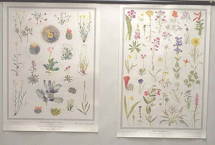 utah-native-plant-society-posters