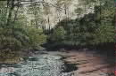 Swift Bend..