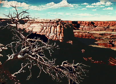 Canyonlands