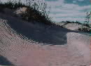 Island Dune
