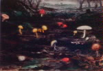 Forest Floor