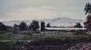 Field