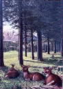 Alpine Meadows