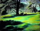 Oak