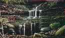 Ozark Rill