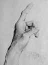 Hand & Index Finger