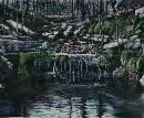 Refugia
