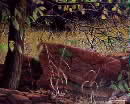 Settlement