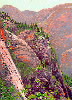 Zion Overlook